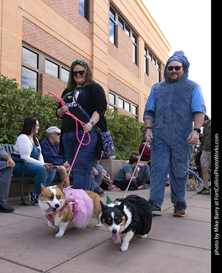  Tour de Corgi 2025 - The Tour