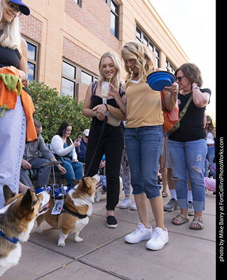  Tour de Corgi 2025 - The Tour