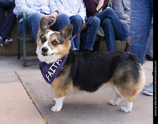  Tour de Corgi 2025 - The Tour