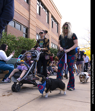  Tour de Corgi 2025 - The Tour