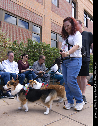  Tour de Corgi 2025 - The Tour