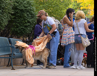  Tour de Corgi 2025 - The Tour