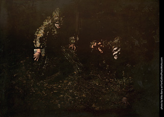 Creepy Walk in the Woods 2025