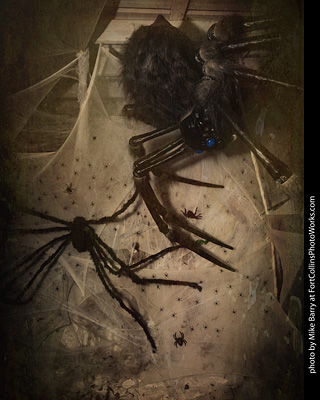 Creepy Walk in the Woods 2025