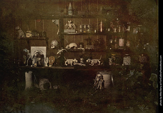 Creepy Walk in the Woods 2025