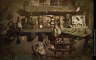 Creepy Walk in the Woods 2025