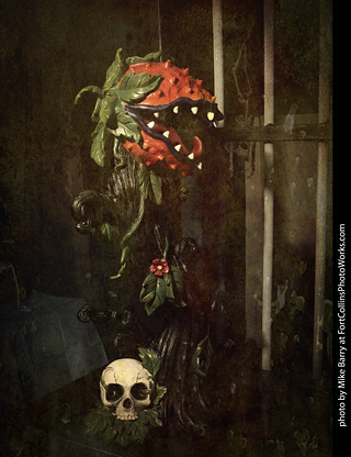 Creepy Walk in the Woods 2025