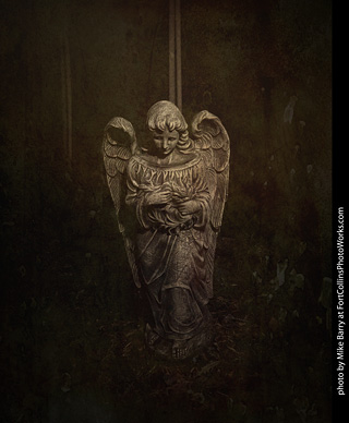 Creepy Walk in the Woods 2025