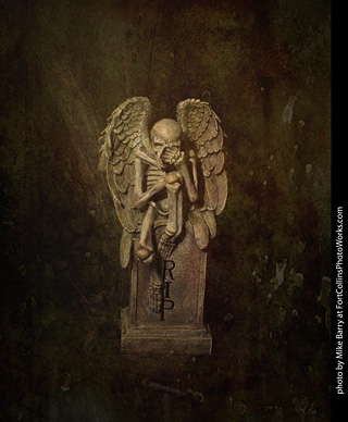 Creepy Walk in the Woods 2025