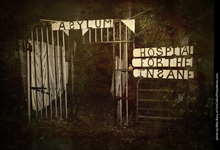 Creepy Walk in the Woods 2025