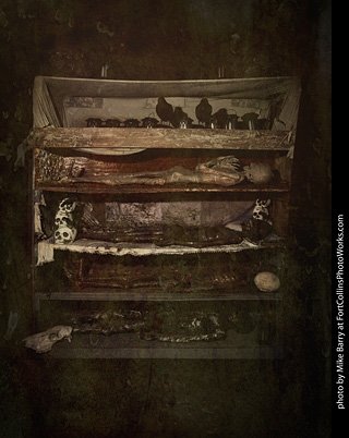 Creepy Walk in the Woods 2025