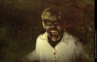 Creepy Walk in the Woods 2025