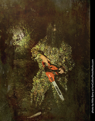 Creepy Walk in the Woods 2025