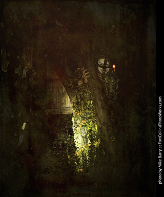 Creepy Walk in the Woods 2025