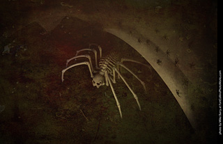 Creepy Walk in the Woods 2025