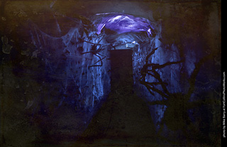 Creepy Walk in the Woods 2025