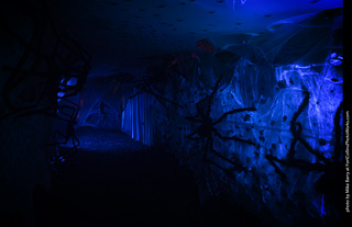 Creepy Walk in the Woods 2025