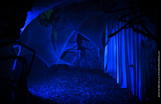 Creepy Walk in the Woods 2025