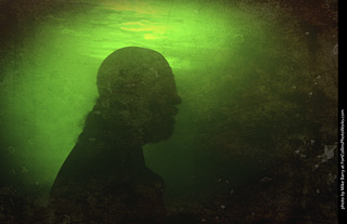 Creepy Walk in the Woods 2025