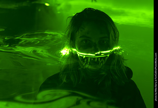 Creepy Walk in the Woods 2025