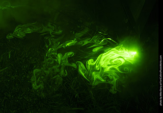 Creepy Walk in the Woods 2025