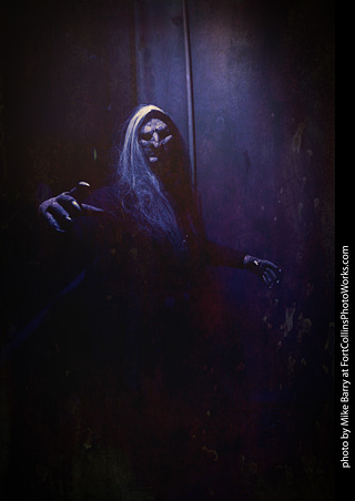 Creepy Walk in the Woods 2025