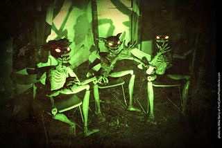 Creepy Walk in the Woods 2025