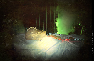 Creepy Walk in the Woods 2025