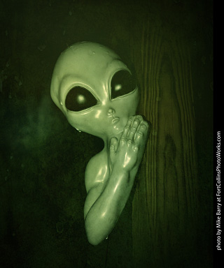 Creepy Walk in the Woods 2025