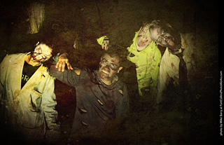 Creepy Walk in the Woods 2025