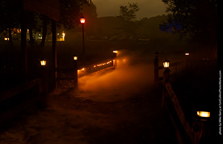 Creepy Walk in the Woods 2025