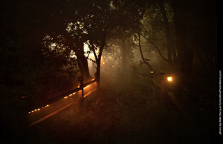 Creepy Walk in the Woods 2025