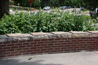 bench