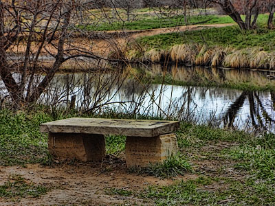 bench