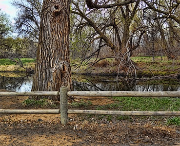 wooden fence