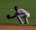 Cheyenne Grizzly in the outfield