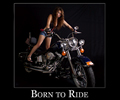 Brittany on a Harley