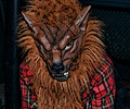 Werewolf at the Fort Collins Zombie Crawl