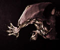 Scream Theme Haunted House monster