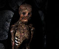 Scream Theme Haunted House skeleton