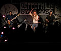 Mike Mitchell, James Songfield, Eyal Rivlin and Chad Coonrod of Zeppephilia