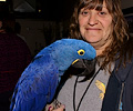 Felicia and a Hyacinth Macaw