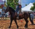 Holly Austin jousting at the Larimer County Fair