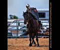 Holly Austin jousting at the Larimer County Fair