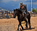 Holly Austin jousting at the Larimer County Fair