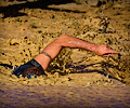 2013 Mud Bridade