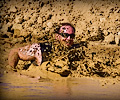 2013 Mud Bridade