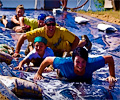 2013 Mud Bridade