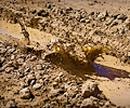 2013 Mud Bridade