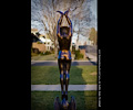 Sculptures